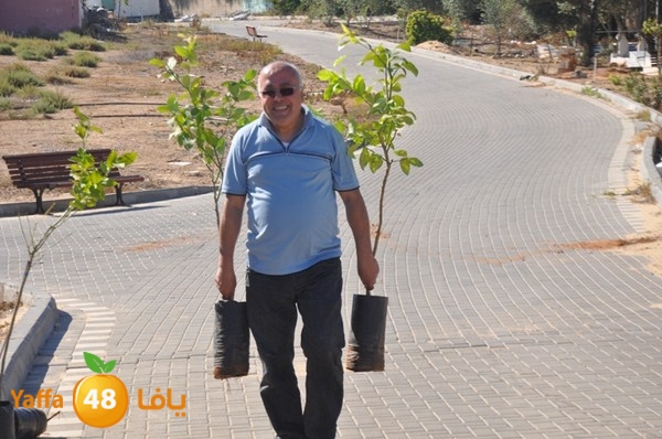 ashjar taso 0328 (30).JPG